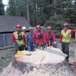 tree service jobs in Lake Tahoe Truckee - image of great team