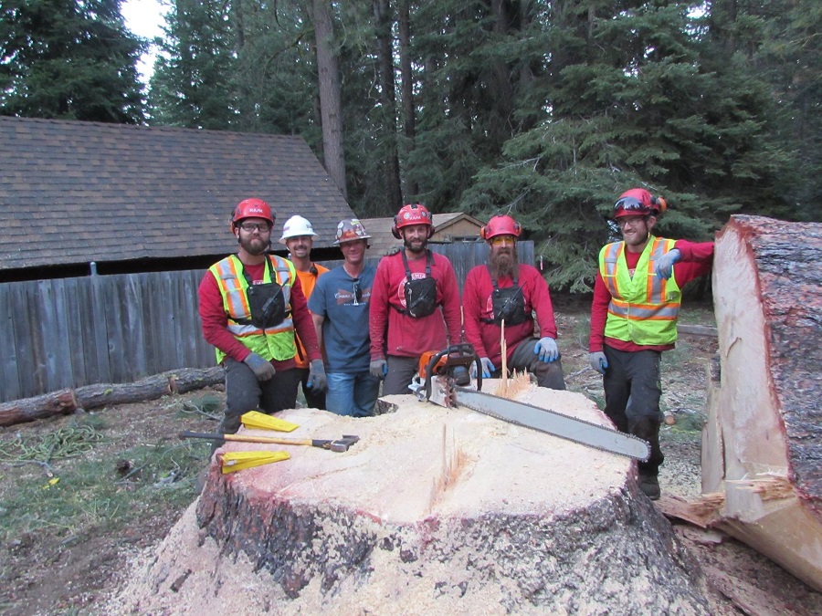 tree service jobs in Lake Tahoe Truckee - image of great team
