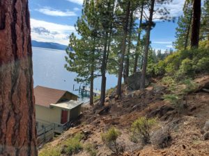 Hillside After 4 | Jeremiahs Tree Service pruning for defensible space