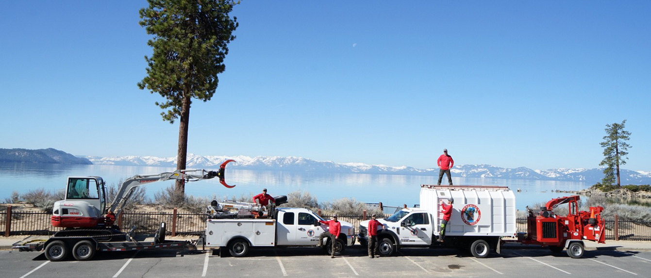 jeremiahs tree service crew