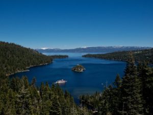 tree service in kings beach
