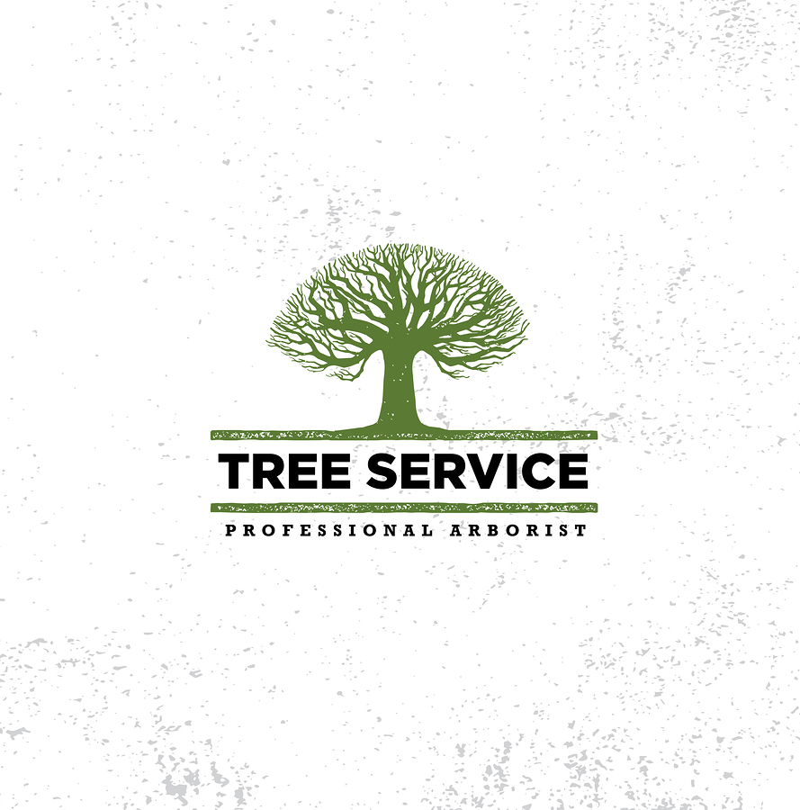 Professional Arborist Reports Tree Service image of healthy green tree North Lake Tahoe Truckee Reno