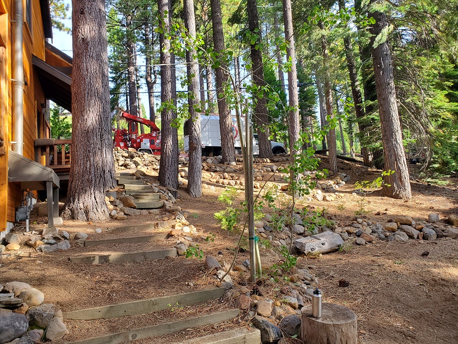 beautiful photo after fire safety defensible space services cleared out brush and trees in Truckee North Lake Tahoe City areas