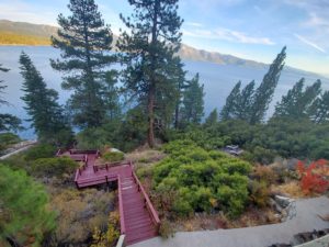 tree service in incline village