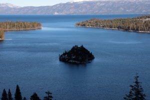 tahoe vista tree service