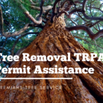 Tree Removal TRPA Permit Assistance