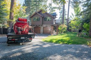 tree service in carnelian bay