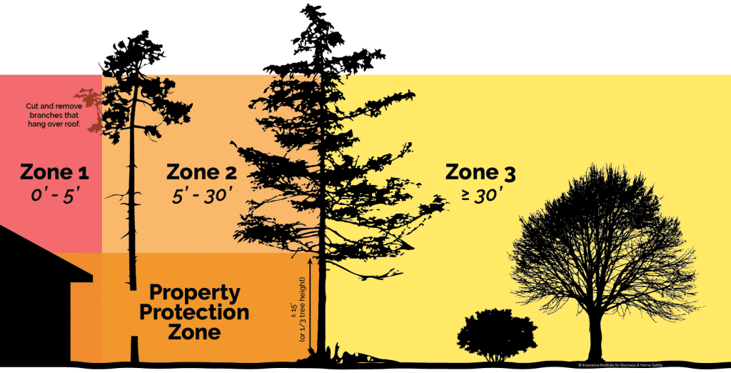defensible space