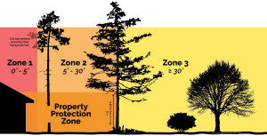 defensible space